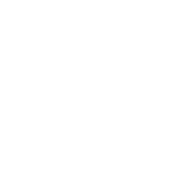 ce logo Kingsport