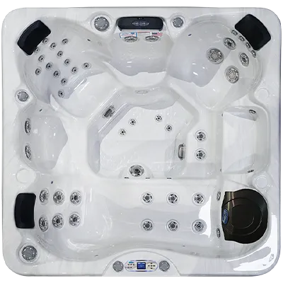 Avalon EC-849L hot tubs for sale in Kingsport