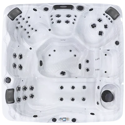 Avalon EC-867L hot tubs for sale in Kingsport