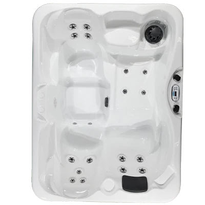 Kona PZ-519L hot tubs for sale in Kingsport