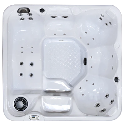 Hawaiian PZ-636L hot tubs for sale in Kingsport